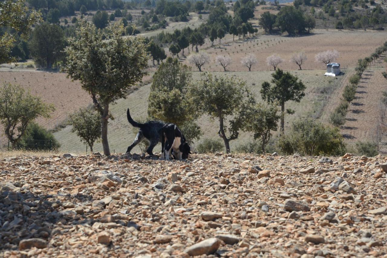 הוילה מנסנרה Casa Alhambras מראה חיצוני תמונה